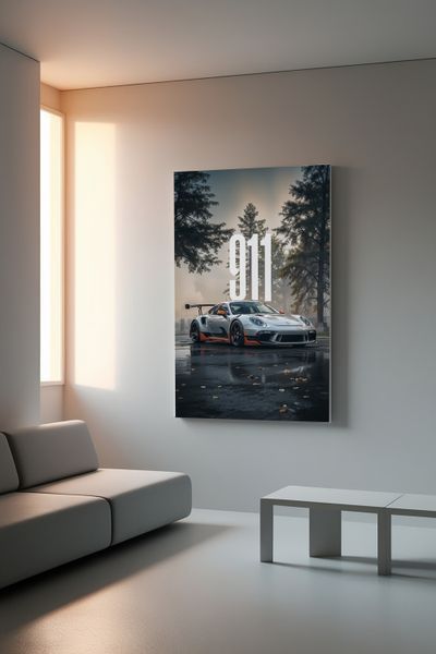 Porshe 911 №1 40х50 см 0300228 фото