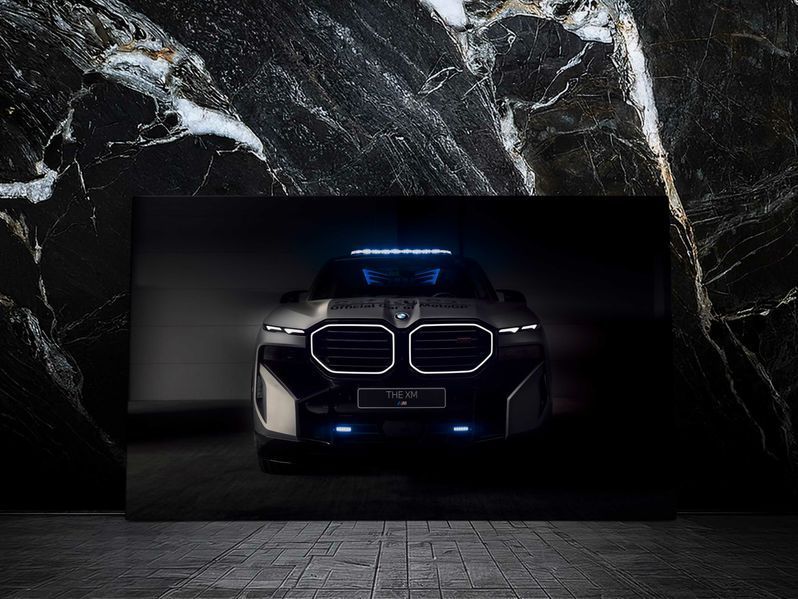 BMW арт №02 40х50см 0300216 фото